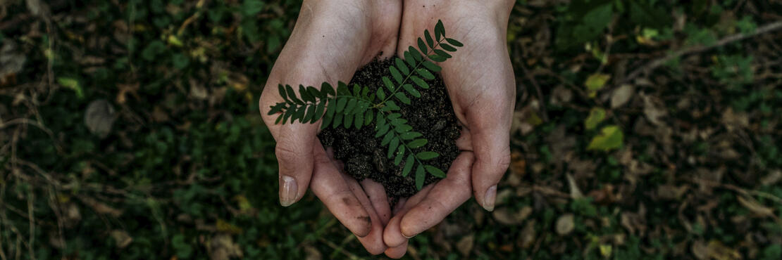 Bildet viser to hender som holder jord og blader som et symbol på at vi tar vare på miljøet