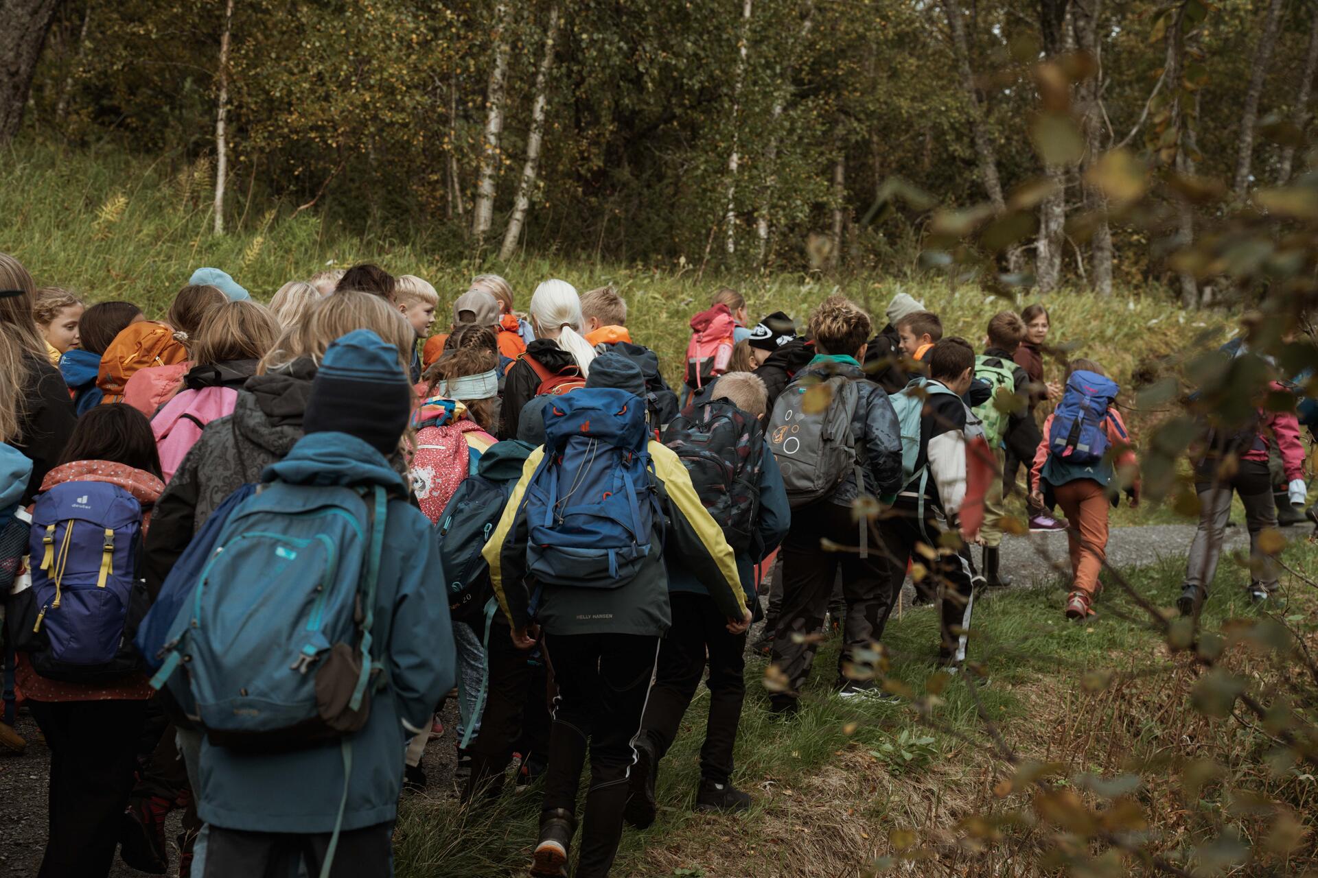 En stor gruppe barn går på en sti i skogen. Barna går med ryggen til og har skolesekker. Trær og gress rundt stien.