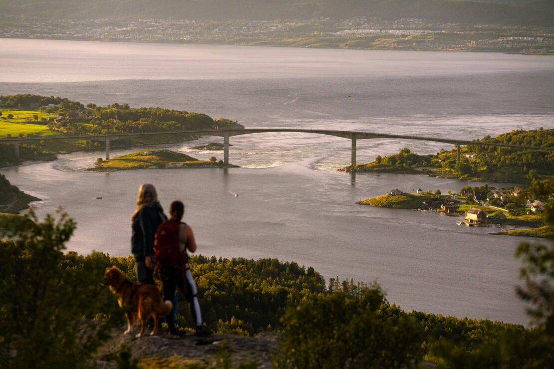 To personer og en hund står på en topp og ser utover havet. En stor bru og bebyggelse er midt i bildet. 