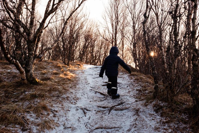 Gutt i skogen - Klikk for stort bilde
