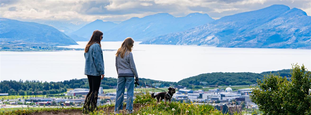 To kvinner med en hund stå på toppen av Ramnfloget og ser ut over byen
