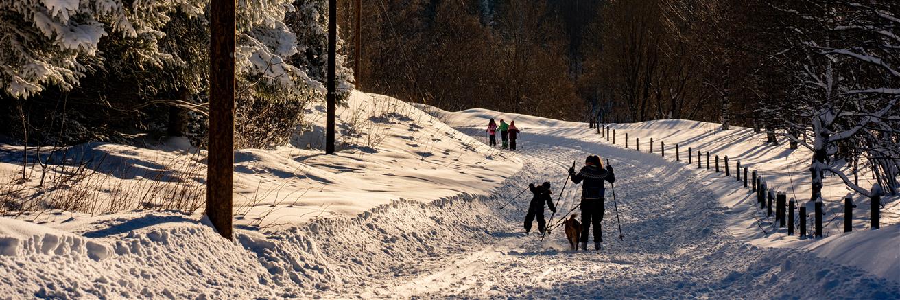 Mennesker på ski i naturen