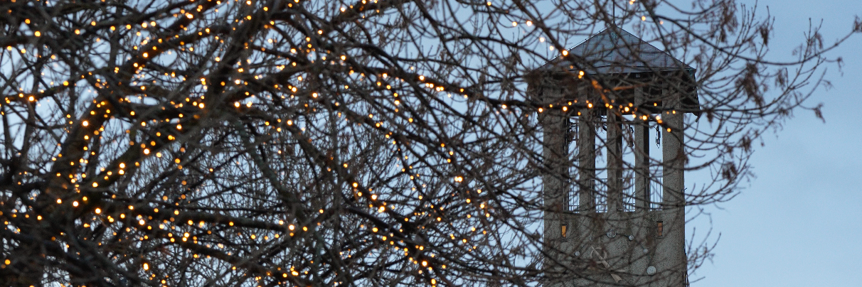 Rådhuset bak julelys