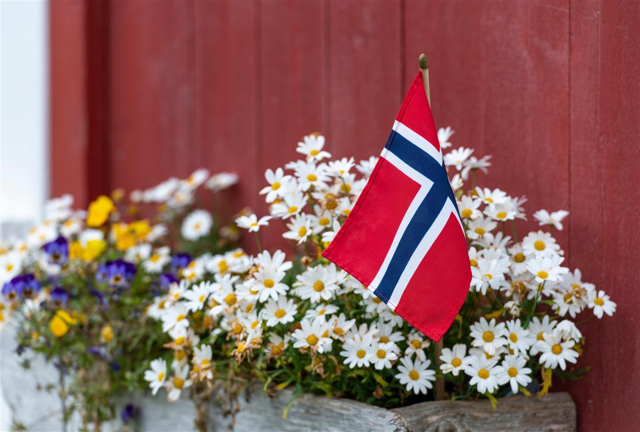 Norsk flagg i blomsterkasse med sommerblomster.