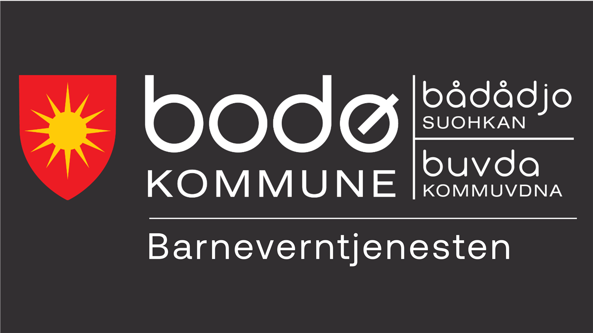 Bodø_kommune_underavdeling_eksempel - Klikk for stort bilde